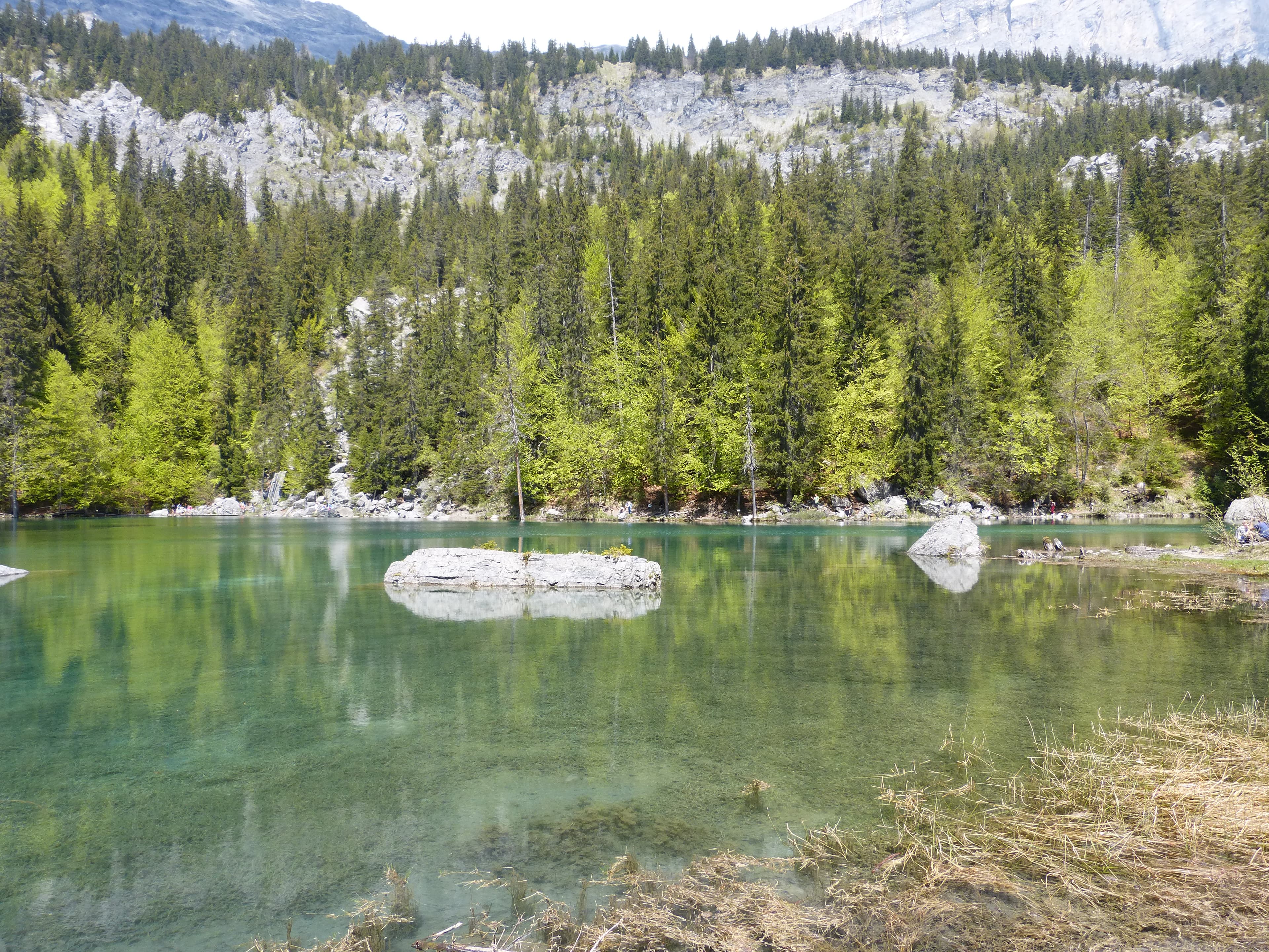 Boucle du Lac Vert — Auvergne-Rhône-Alpes